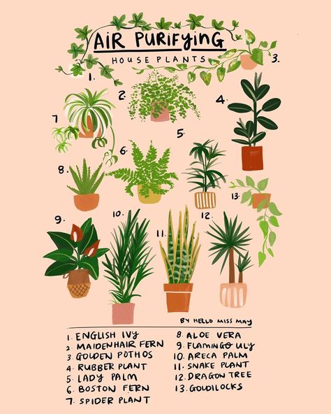 Hello Plant Lover on Instagram: “Air purifying plants to have at home Illustration @byhellomissmay  What do you guys have already? #helloplantlover” Plant Chart, Plants Bedroom, Plants In Pots, Tanaman Indoor, نباتات منزلية, Plant Care Houseplant, Potted Houseplants, Inside Plants, Growing Plants Indoors