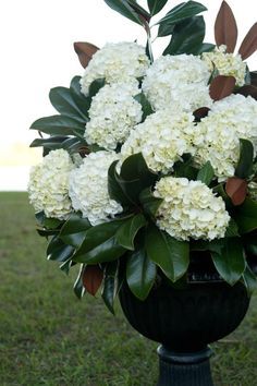 hydrangeas and magnolia Magnolia Hydrangea Centerpiece, Large Magnolia Arrangement, Hydrangea And Magnolia Bouquet, Magnolia Flower Arrangement, Magnolia Leaves Centerpiece, Southern Wedding Flowers, Magnolia Arrangement, Hydrangea Flower Arrangement, Leaves Arrangement