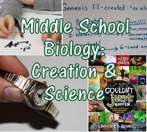 Cute Food Ideas, Evolution Activities, Life Science Middle School, Biology Experiments, Creation Activities, Stem Lesson Plans, School Biology, Homeschool Middle School, Creation Science