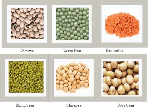 Examples Some examples of cereals include rice, barley, wheat, maize, corn, millet, barley, sorghum, millet, oats, triticale, rye and buckwheat. Cereals And Pulses, Healthy Food Chart, Vocabulary In English, Winter Squash Recipes, Types Of Cereal, Nitrogen Fixation, Food Infographic, Types Of Fruit, Food Charts