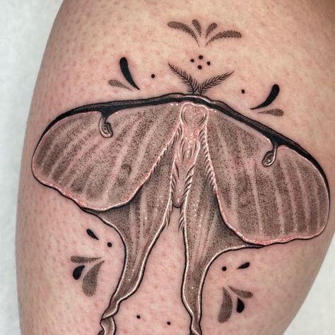 Makenna Matte’s Instagram profile post: “✨Luna moth for michi✨ #naturetattoo #lunamoth #mothtattoo #michigantattooartist #bugtattoo #natureart” Dark Luna Moth Tattoo, Luna Moth Forearm Tattoo, Fine Line Luna Moth Tattoo, Abstract Luna Moth Tattoo, Edgy Moth Tattoo, Michigan Tattoos, Bug Tattoo, Moth Tattoo, Moth Art