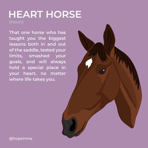 Horse Quotes Funny, Heart Horse, Funny Horse Pictures, Inspirational Horse Quotes, Horse Lessons, Horse Riding Quotes, Equestrian Quotes, Riding Quotes, Horse Facts