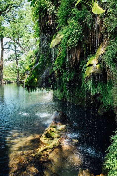 Krause Springs - Krause Springs | Texas Swimming Hole Krause Springs, Texas Swimming Holes, Explore Texas, Texas Destinations, Spring Texas, Swimming Hole, Swimming Holes, Texas Travel, Camping Life