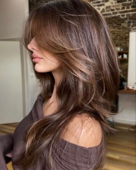 Pelo Cafe, Honey Brown Hair, Brown Hair Looks, Brown Hair Inspo, Brunette Hair With Highlights, Brown Hair Balayage, Hair Stylies, Long Brown Hair, Haircuts Straight Hair