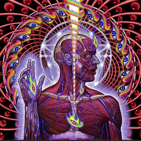 Tool Band Art, Tool Band Artwork, Alex Gray Art, Tool Artwork, Grey Artwork, Alex Grey, Sacred Geometric, Tool Band, Mystical Art