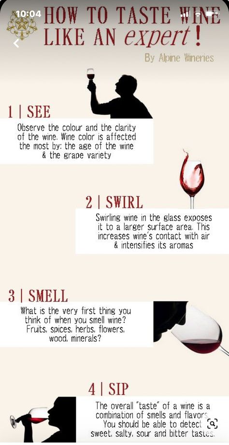 How To Drink Wine Properly, Wine Testing Ideas, How To Taste Wine, Wine Information, Wine Etiquette, Wine Basics, Wine Chart, Wine Cheese Pairing, Wine Facts