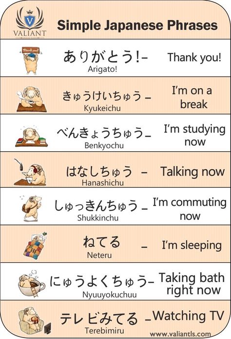 Simple Japanese Phrases, Basic Japanese Conversation, Japanese Simple Words, How To Say No In Japanese, Japanese Conversation Phrases, Conversational Japanese, Japanese Conversation, Japanese Sentences, Learn Basic Japanese