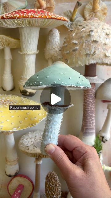 Ann Wood @Woodlucker/paper art on Instagram: "PAPER mushrooms… mixture of all the pastel handmade  mushrooms. Do you like paper mushrooms?     #woodlucker #annwood #papermushroom #paperflowers #paperartist #paperart #imadethis #handmade #mushrooms #mushroom #mushroomsofinstagram #reels #reelsinstagram #viral #viralreels #viralvideos #explorepage #cottagecore #cottagecorecommunity #cottagegarden #botanical #botanicalart #botanicalillustration #betterhomesandgardens #ilovemushrooms" Paper Mushrooms, Handmade Mushrooms, Ann Wood, Mushroom Crafts, Cottage Core Aesthetic, Mushroom Art, Paper Artist, Better Homes And Gardens, Botanical Illustration