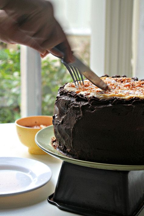 Hawaiian Chantilly Layer Cheesecake Cake for #cheesecakeday - Wallflour Girl Whipped Chocolate Frosting, Gif Food, Layer Cheesecake, Chocolate Chiffon Cake, Cake Gif, Budget Recipes, Waxing Poetic, Peanut Butter Cheesecake, Cheesecake Cake