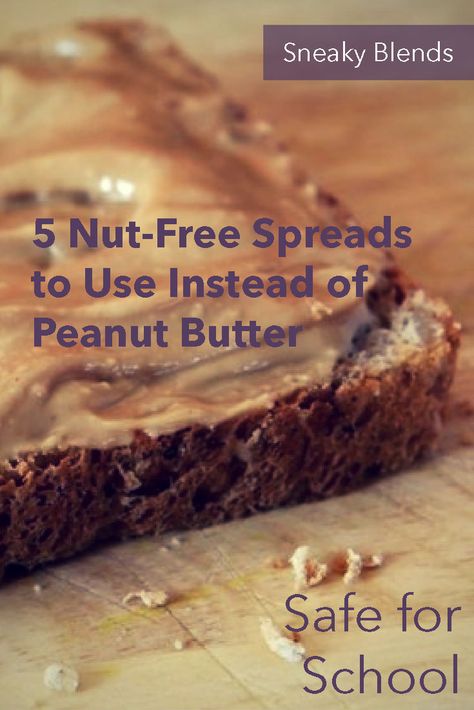 Non Peanut Butter Lunches For Kids, Peanut Free Lunches For Kids, Nut Free Lunches For Kids, Toddler Sandwiches, Peanut Butter Alternatives, Kid Sandwiches, Butter Alternative, Nut House, Kids Lunches