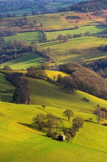 Array of Colours | The winter light paints the Herefordshire… | Flickr England Countryside, Amazing Scenery, Beautiful Countryside, Scenery Pictures, Green Hills, British Countryside, Yorkshire Dales, Rolling Hills, English Countryside