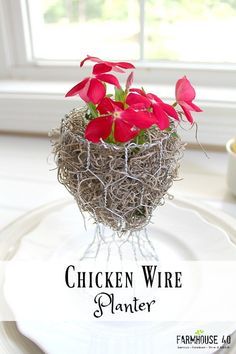 Chicken Wire Planters Diy, Wire Craft Ideas, Small Evergreens, Chicken Wire Projects, Chicken Wire Fence, Chicken Wire Basket, Wire Lampshade, Chicken Wire Crafts, Gardening Crafts