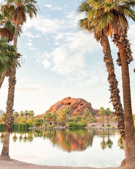 Visit Phoenix on Instagram: “Interrupting your #humpday with a little desert oasis 🌴 . 📸: @lindsayjenksphotography 📍: Papago Park . #myphx” Phoenix Attractions, Scottsdale Old Town, Arizona Attractions, Papago Park, Taliesin West, Old Town Scottsdale, Desert Botanical Garden, Downtown Phoenix, Southwestern Art