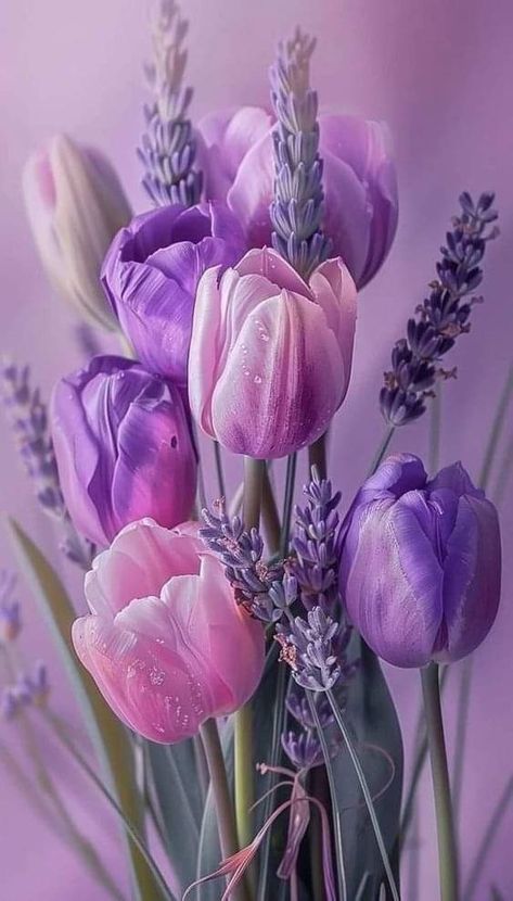 Purple Iphone Wallpapers, Smartphone Design, Art Mobile, Purple Flowers Wallpaper, Purple Iphone, Flower Wallpapers, Apple Art, Beautiful Flowers Photos, Pretty Phone Wallpaper