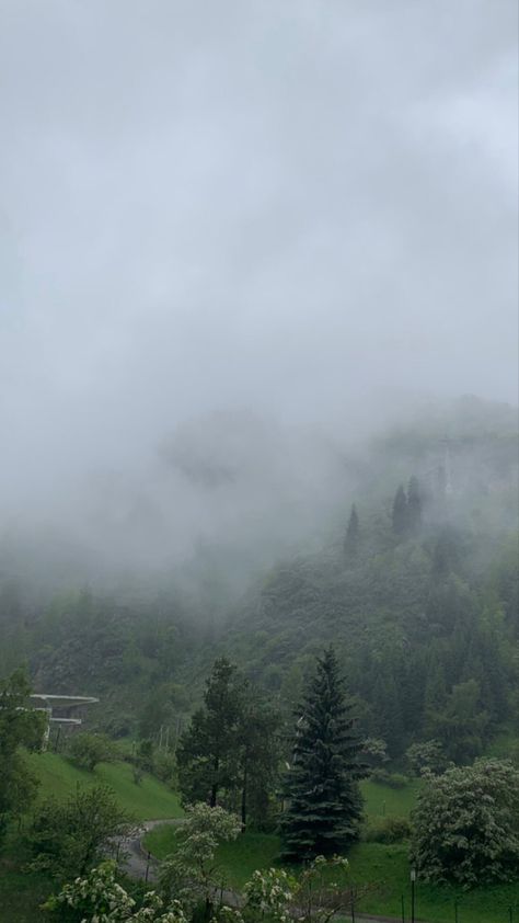 Foggy Mountain Aesthetic, Mountain Aesthetic, Foggy Mountains, Nature Vibes, No Rain No Flowers, Foggy Morning, Poetry Images, Pretty Stuff, Green Trees