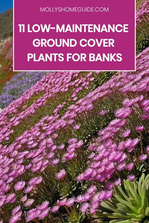 Discover the best ground cover plants for banks and slopes to enhance your garden with low-maintenance beauty. Consider planting Creeping Phlox or other easy-to-grow options for evergreen charm and colorful blooms. From shade-loving varieties to sloping garden ideas, explore a range of flowering and evergreen ground covers to create stunning landscapes effortlessly. Whether you're looking for practical solutions or decorative elements, these versatile plants will transform your outdoor space int Ground Cover Along Fence, Groundcover For Slopes, Sloping Garden Ideas, Ground Cover Plants Shade, Mountain Farming, Steep Hillside Landscaping, Best Ground Cover Plants, Sloping Garden, Texas Sage