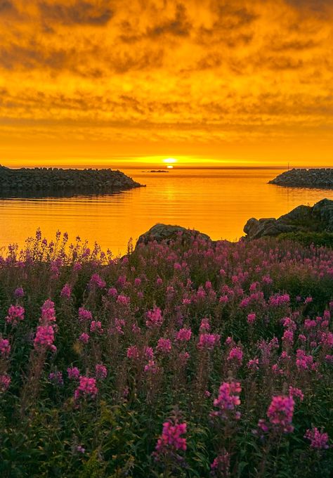 Norway Sunset, Norway Wallpaper, Awesome Backgrounds, Flowers Sunset, Blue Sky Wallpaper, Sunset Gradient, Iphone Wallpaper 4k, View Wallpaper, Sunset Landscape