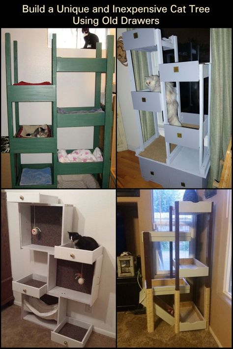 Check out how you can build a cat tree using your old drawers here. Cat Trees Diy Easy, Cat Diy Crafts, Cat Ladder, Diy Cat Tree, Diy Ladder, Cat House Diy, Old Drawers, Diy Drawers, Cat Trees