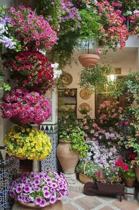 Zuppa Toscana Soup Olive Garden, Flowers In Pots, Patio Flowers, Small Patio Garden, Flower Garden Design, Beautiful Patios, Garden Containers, Backyard Garden Design, Garden Layout