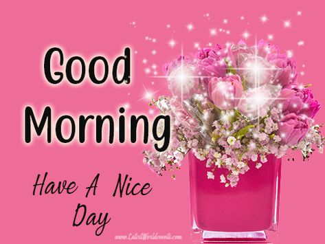 Good Morning Gif For Wife | Good Morning Wishes - Best World Events Good Morning Gif Images, Good Morning Gift, Romantic Good Morning Messages, Good Morning Handsome, Good Morning Beautiful Gif, Good Morning Funny Pictures, Cute Good Morning Images, Funny Good Morning Quotes, Good Morning Images Hd