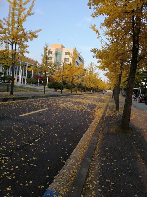 Hanyang Ansan Campus in autumn Ansan