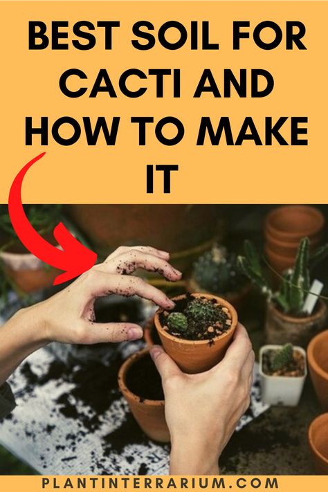 Diy Cactus Soil, Diy Soil Mix For Indoor Plants, Best Soil Mixture For Indoor Plants, Best Soil Mix For Indoor Plants, How To Make Cactus Soil, Cactus Soil Mix Diy, Best Soil For Succulents, Cactus Mix Potting Soil, Indoor Cactus Plants