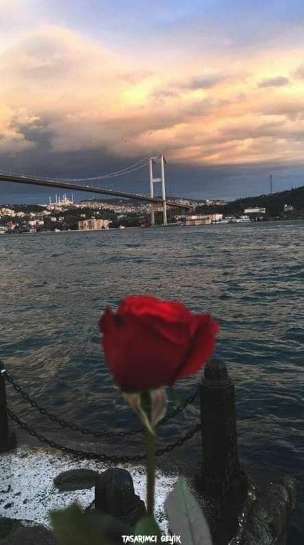 Istanbul Turkey Photography, Istanbul Photography, Istanbul City, Turkey Photos, Night Sky Photography, Istanbul Travel, Snapchat Picture, Turkey Travel, Rose Wallpaper