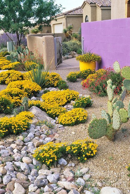 Xeriscape Landscaping, Front Lawn Landscaping, Succulent Landscape Design, Drought Tolerant Garden, Succulent Landscaping, Drought Tolerant Landscape, Dry Garden, Front Yard Design, Garden Designer