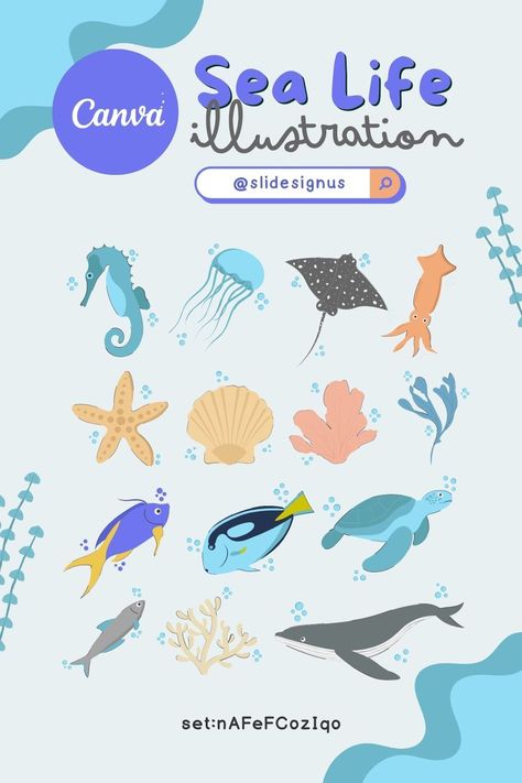 Sea life 337 ✍️ Ocean Elements Illustration, Canva Poster Ideas, Undersea Illustration, Ocean Elements, Sea Life Animals, Keyword Elements Canva, Desain Buklet, Animals Illustration, Sea Plants