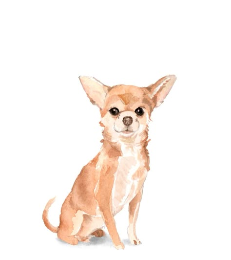 Cute Dog Watercolor, Dog Illustration Watercolor, Yorkshire Terrier Watercolor, Watercolor Chihuahua, Dog Science, Chihuahua Illustration Character Design, Watercolor White Dog Paintings, Schnauzer Art, Dog Watercolor