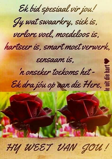 Ek bid vir jou... #Afrikaans #Heartaches&Hardships #Prayer Word Gou Gesond, Warm Quotes, Girl Boss Wallpaper, Get Well Messages, My Children Quotes, Phone Quotes, Evening Greetings, Afrikaans Quotes, Afrikaanse Quotes