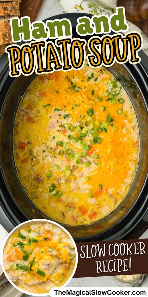 In the world of comfort food, nothing beats a warm and hearty bowl of Ham and Potato Soup in the crock pot. When it comes to comfort and convenience, the slow cooker is the ultimate kitchen tool. If you're looking for a delicious and satisfying soup recipe that will please the whole family, look no further than this tasty cheesy ham and potato soup. - The Magical Slow Cooker Crock Pot Cheesy Ham And Potato Soup, Cheesy Potato Soup With Ham, Ham Soup Recipes Crockpot, Potato And Ham Soup Crockpot, Ham And Potatoes In Crock Pot, Slow Cooker Ham And Potato Soup, Ham And Bean Soup Recipes Crockpot, Ham Bone Soup Recipes Crock Pot, Ham And Potato Soup Crockpot