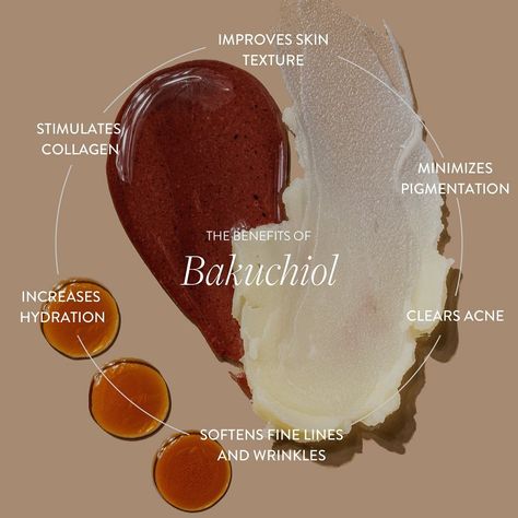 Bakuchiol (pronounced: buh - koo - chee - owl) is now infused in our Plumping Serum + Cream for even more skin-loving benefits without the sensitizing side effects of retinol. Product Benefits Design, Bakuchiol Benefits, Retinol Benefits, Health Benefits Of Collagen, Bakuchiol Serum, Primally Pure, Serum Benefits, Skin Care Business, Skincare Products Photography