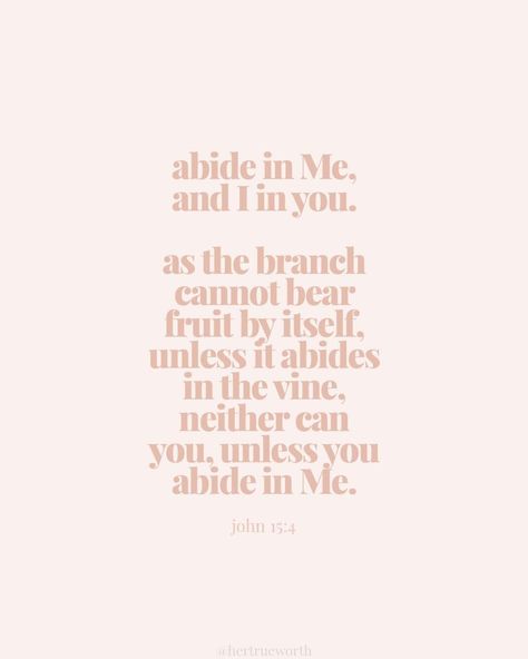 I Am The True Vine, Her True Worth, Christian Photography, Abide In Christ, Church Christian, Walk In The Spirit, True Vine, Wallpaper Bible, Worship Jesus