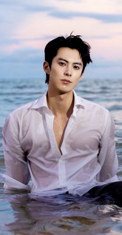 Dylan Wang Meteor Garden, Dylan Wong, Li Xian, Wang Hedi, Hot Army Men, Meteor Garden, Dylan Wang, Wattpad Stories, Army Men