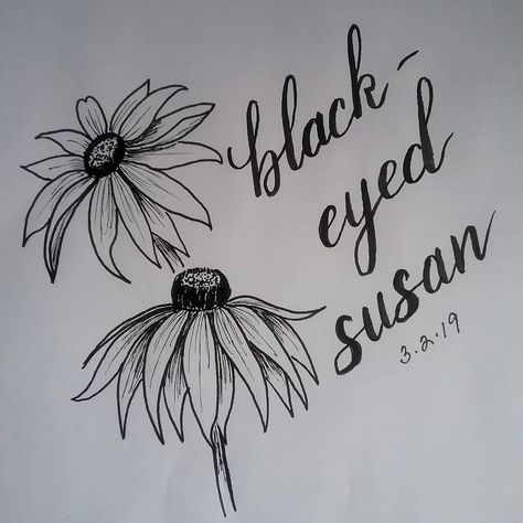 Black Eyed Susan Drawing Tattoo Ideas, Black Eyed Susan Drawing, Black Eyed Susan Tattoo, Dragonfly Tattoos, Black Eyed Susan Flower, Paddle Ideas, Creative Practice, Halloween Doodles, Doodle Flowers