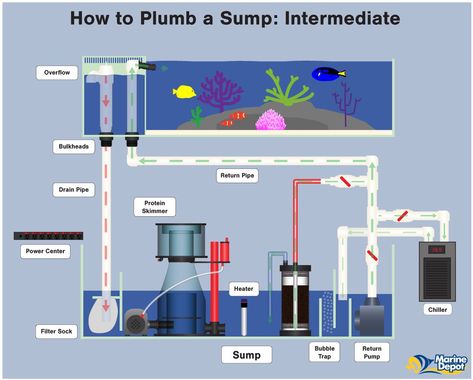 How to Plumb a Sump - Intermediate Saltwater Aquarium Setup, Aquarium Sump, Reka Bentuk Landskap, Sump Tank, Plumbing Diagram, Kolam Koi, Coral Reef Aquarium, Saltwater Fish Tanks, Pulau Pinang