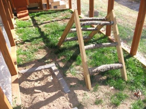 would make a nice removable roost too.... Diy Chicken Toys, Chicken Ladder, Chicken Perches, Chicken Roost, Portable Chicken Coop, Chicken Toys, Best Chicken Coop, Raising Backyard Chickens, Diy Chicken