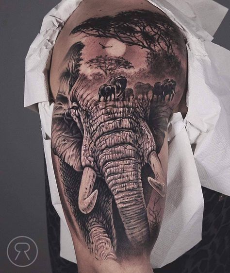 Elephant Thigh Tattoo, Elephant Family Tattoo, Adler Tattoo, Tattoo Elephant, Tattoo Homme, Jungle Tattoo, Africa Tattoos, Animal Sleeve Tattoo, Tier Tattoo