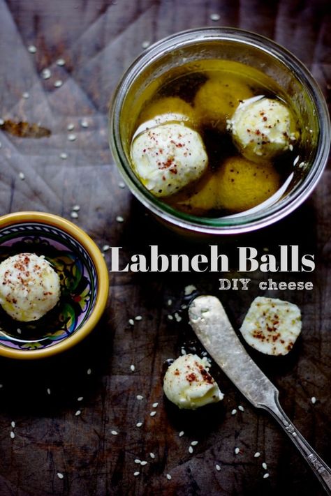 Labneh Balls, Arabic Dishes, Labneh Recipe, Diy Yogurt, Food Expo, Mediterranean Recipe, Arab Food, Yogurt Cheese, Cheese Wine