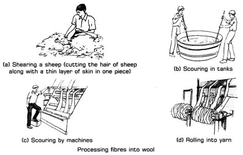 Fibre to Fabric Class 7 Notes Science Chapter 3 - Learn CBSE  #CBSEClass7ScienceNotes #FibretoFabricNotesofClass7 6 Simple Machines, Simple Machines Unit, Simple Machine Projects, Wheel And Axle, Pulleys And Gears, Inclined Plane, Mechanical Advantage, Primary Science, 4th Grade Science