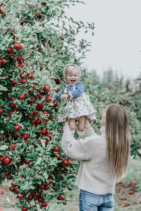 Orchard photo orchard photo shoot  Photography apples orchard Apple Picking Photography, Apple Picking Pictures, Apple Orchard Photography, Apple Orchard Pictures, Apple Picking Photos, Apple Picking Outfit Fall, Fall Baby Photos, Baby Holiday Photos, Fall Baby Pictures