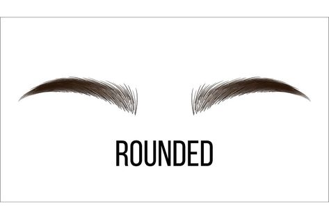 Medium Rounded Vector Hand Drawn Brows Shape. Female Brown Brows Style With Name Isolated Clipart. Microblading Master. Beauty, Cosmetology Salon. Eyebrows Shadows Realistic Illustration Brows Shape, Round Eyebrows, Brown Brows, Realistic Illustration, Brow Styling, Brow Shaping, Eyebrow Shape, Eyebrow Shaping, Vector Hand