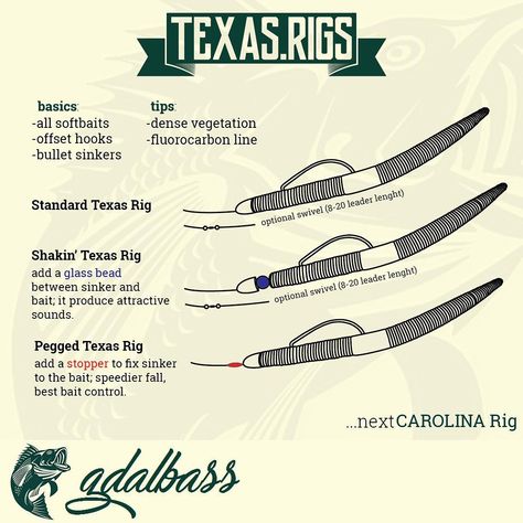 Texas Rig Bass Fishing, Canoe Fishing, Bass Fishing Tips, Fishing Rigs, Fishing Tips, Bass Fishing, Bass, Hobbies, Fishing