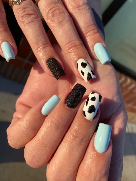 Cow Print Toenails, Simple Western Nails Almond, Cowprint Nail Design Almond, Black And White Cow Print Nails, Blue Nails Cow Print, Blue Nails With Cow Print, Black And Blue Nails Ideas, Blue Cowprint Nails, Black And Baby Blue Nails