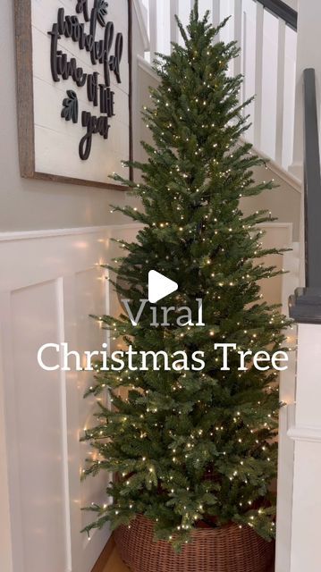 Jordan farmer on Instagram: "The viral Christmas tree for two years now!!! It honestly is a great tree with very little fluffing required! I have the 7.5ft slim. I also linked a very similar one for less money in stock! 

Comment SHOP below to receive a DM with the link to shop this post on my LTK ⬇ https://liketk.it/4Wd7g #ltkholiday #ltksalealert #ltkseasonal #christmas #christmasdecor #christmastree #holidaydecor" Christmas Trees Slim, Viral Christmas Tree, How To Decorate A Pencil Christmas Tree, Slim Christmas Trees Decorated, Slim Xmas Tree Decorating Ideas, Slim Christmas Tree Ideas Decorating, Pencil Tree Decorating Ideas, Pencil Trees Decorating Ideas, Narrow Christmas Tree