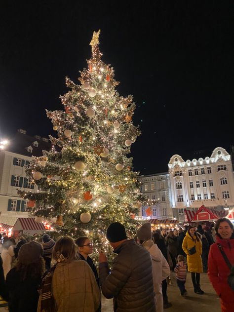 Holidays, markets, tree, cold, bratislava, crowds Bratislava, Christmas Market, Marketing, Christmas