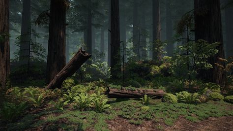 Macro Environment, Forest Games, Redwood Forest, Landscape Concept, Fantasy Forest, Animation Background, Arte Fantasy, Last Of Us, Environment Design