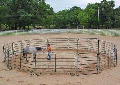 Powder coated round pipe panels pen for arenas Horse Groundwork, Round Pens For Horses, Horse Pens, Horse Farm Ideas, Horse Corral, Horse Arena, Horse Shelter, Dream Horse Barns, Horse Barn Plans