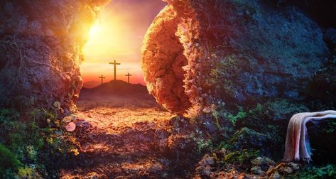 Happy Resurrection Sunday, Happy Resurrection, Jesus Has Risen, Jesus Tomb, Sunday Images, Empty Tomb, Resurrection Day, Resurrection Sunday, Jesus Resurrection